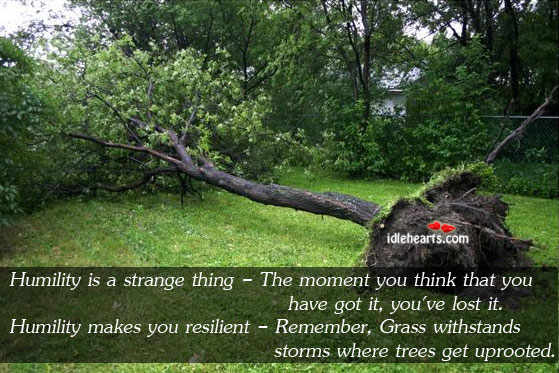 Humility is a strange thing and it also makes you resilient Humility Quotes Image