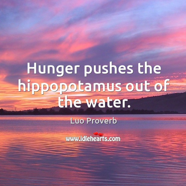 Hunger pushes the hippopotamus out of the water. Image