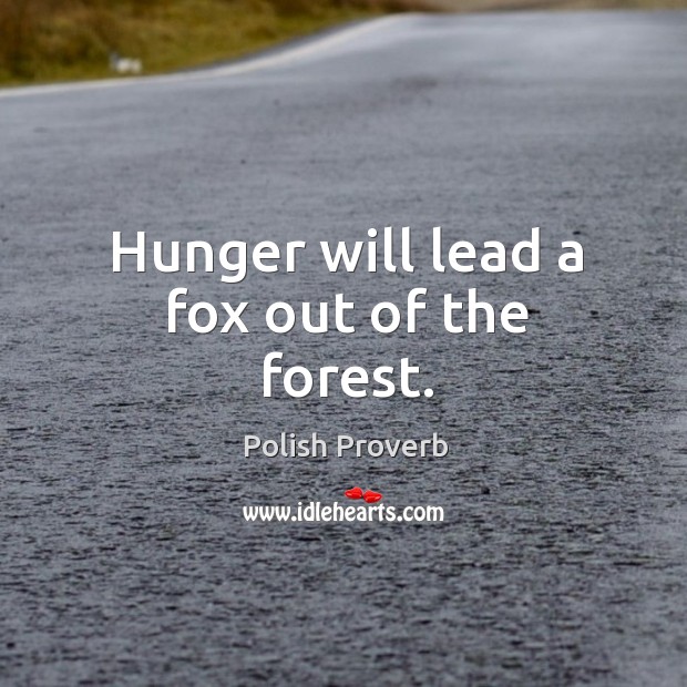 Hunger will lead a fox out of the forest. Image