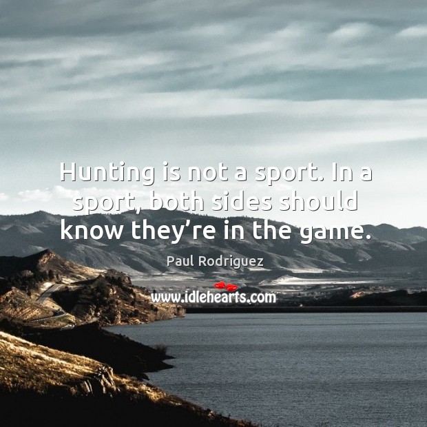 Hunting is not a sport. In a sport, both sides should know they’re in the game. Paul Rodriguez Picture Quote