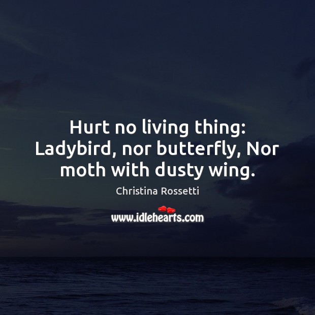 Hurt no living thing: Ladybird, nor butterfly, Nor moth with dusty wing. Image