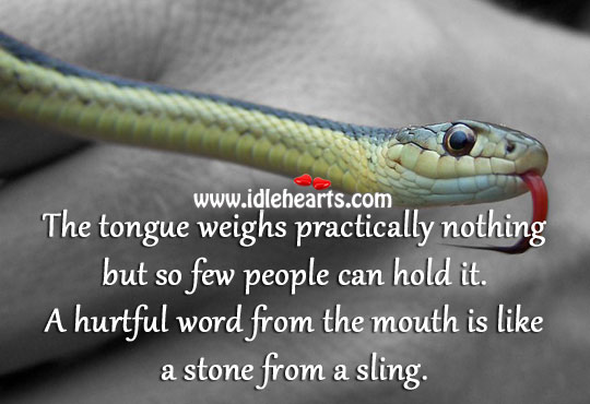 A hurtful word from the mouth is like a stone from a sling. Image