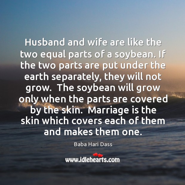 Husband and wife are like the two equal parts of a soybean. Image