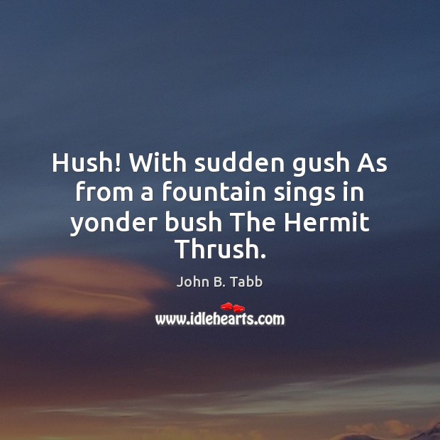 Hush! With sudden gush As from a fountain sings in yonder bush The Hermit Thrush. John B. Tabb Picture Quote