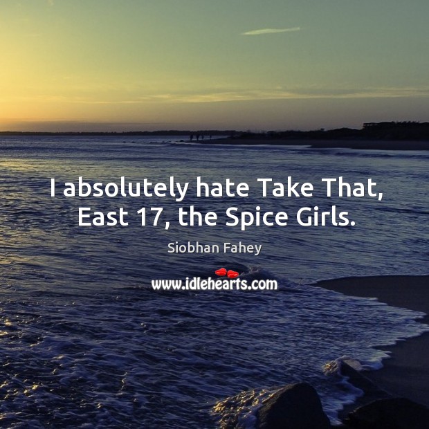 I absolutely hate take that, east 17, the spice girls. Siobhan Fahey Picture Quote