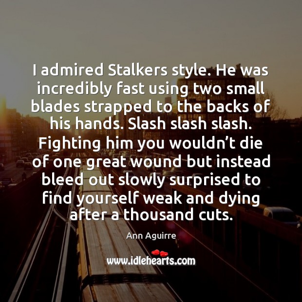 I admired Stalkers style. He was incredibly fast using two small blades 