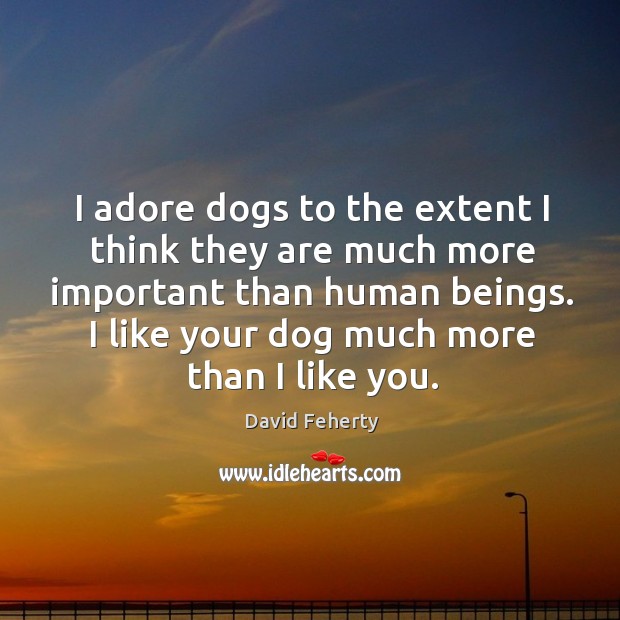 I adore dogs to the extent I think they are much more David Feherty Picture Quote