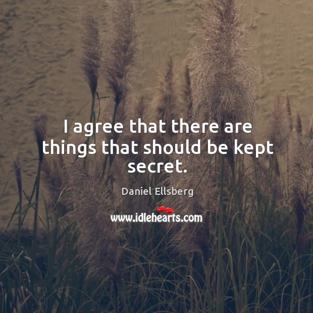 I agree that there are things that should be kept secret. Daniel Ellsberg Picture Quote