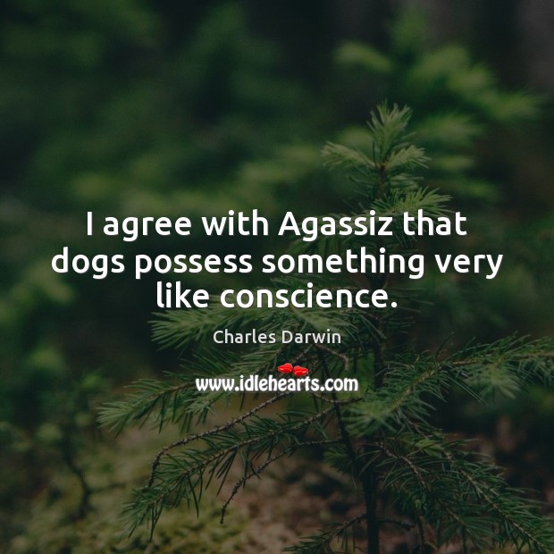 I agree with Agassiz that dogs possess something very like conscience. Agree Quotes Image