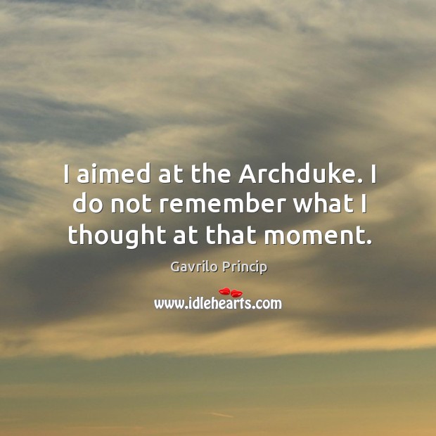 I aimed at the archduke. I do not remember what I thought at that moment. Gavrilo Princip Picture Quote