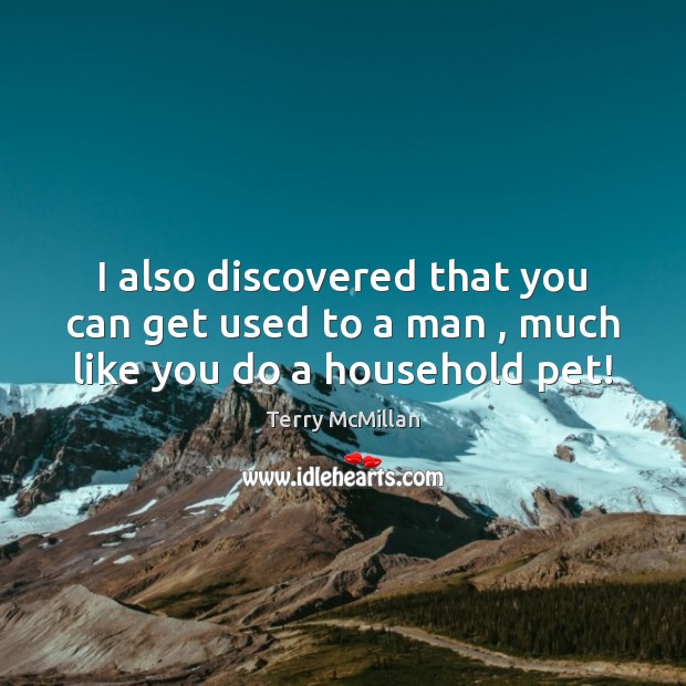 I also discovered that you can get used to a man , much like you do a household pet! Terry McMillan Picture Quote