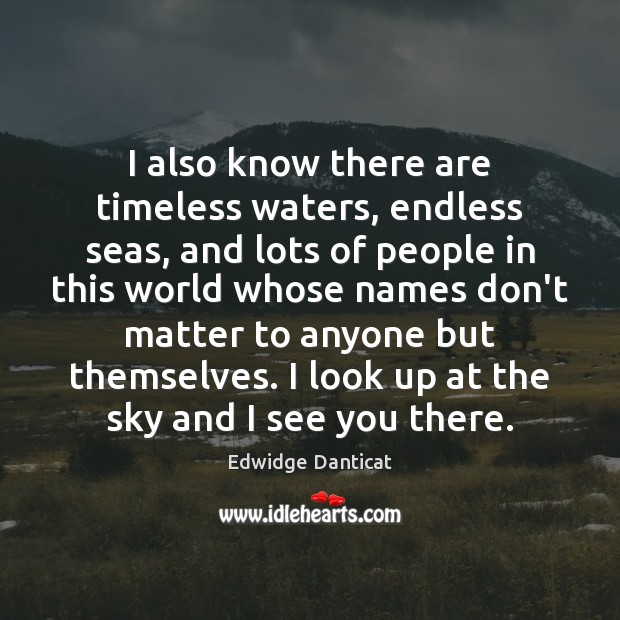 I also know there are timeless waters, endless seas, and lots of Edwidge Danticat Picture Quote