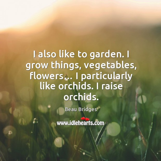 I also like to garden. I grow things, vegetables, flowers… I particularly like orchids. I raise orchids. Beau Bridges Picture Quote