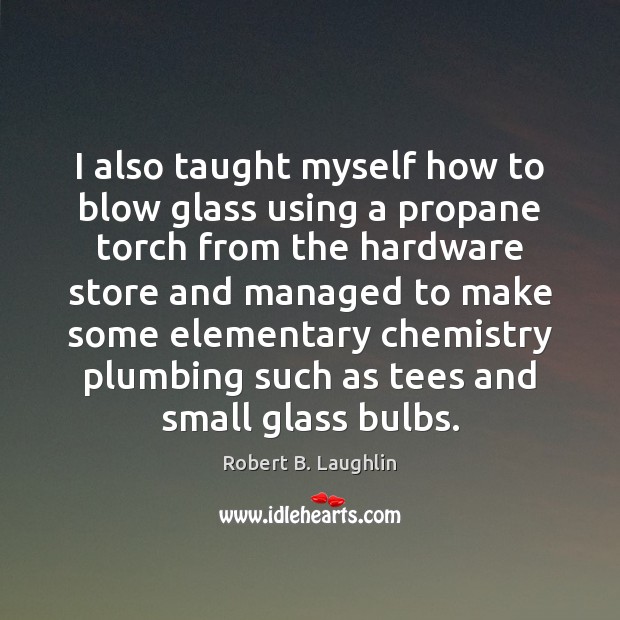 I also taught myself how to blow glass using a propane torch Robert B. Laughlin Picture Quote