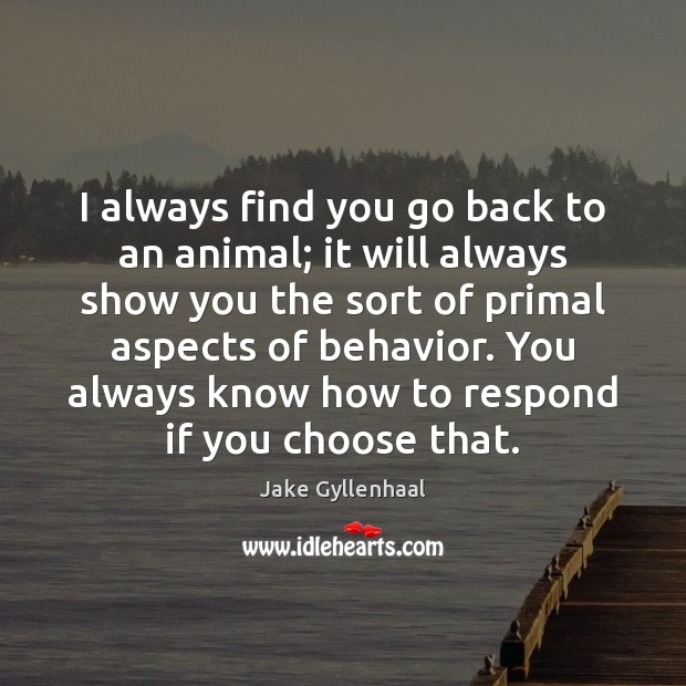 I always find you go back to an animal; it will always Jake Gyllenhaal Picture Quote