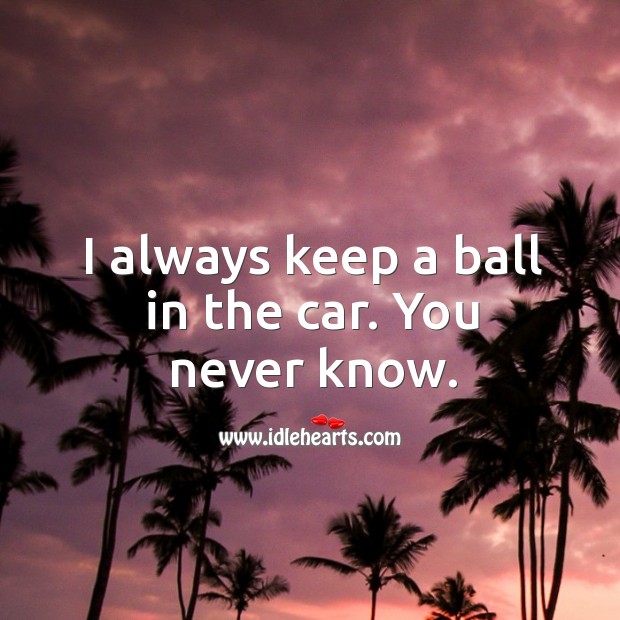 I always keep a ball in the car. You never know. Image