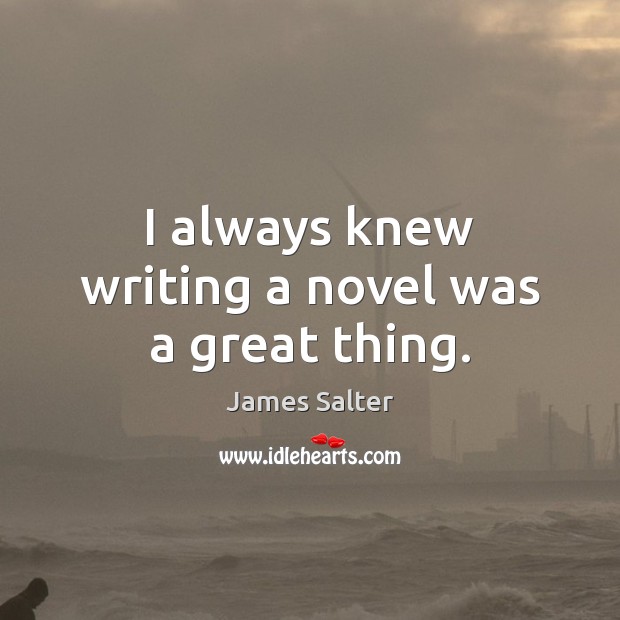 I always knew writing a novel was a great thing. James Salter Picture Quote
