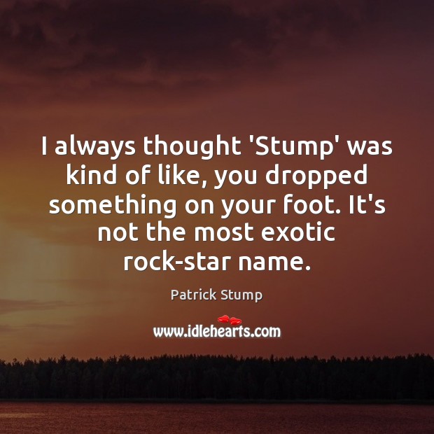 I always thought ‘Stump’ was kind of like, you dropped something on Patrick Stump Picture Quote