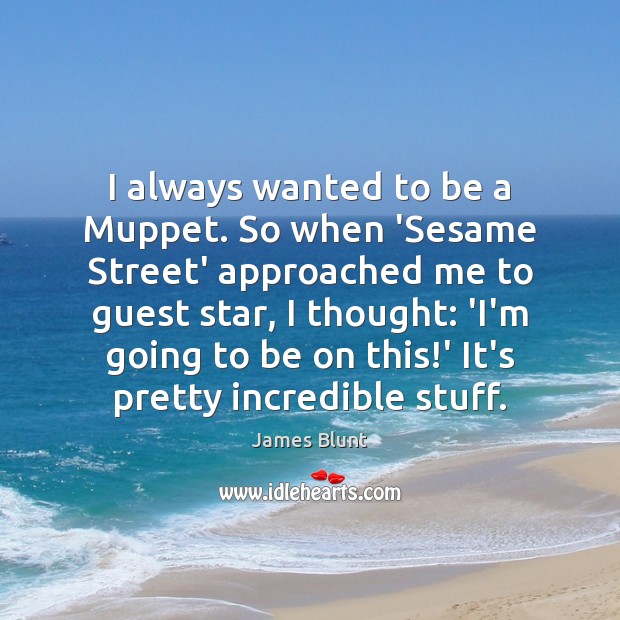 I always wanted to be a Muppet. So when ‘Sesame Street’ approached James Blunt Picture Quote