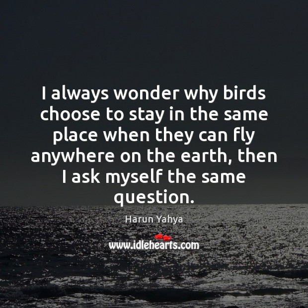 I always wonder why birds choose to stay in the same place Harun Yahya Picture Quote