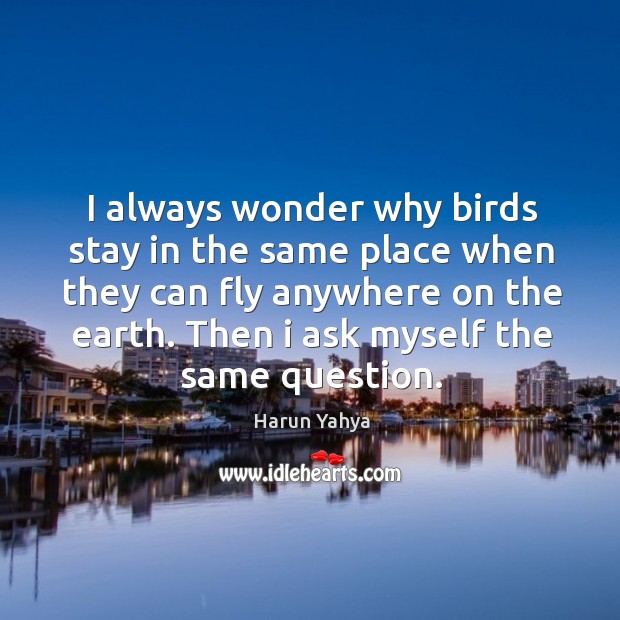 I always wonder why birds stay in the same place when they can fly anywhere on the earth. Then I ask myself the same question. Harun Yahya Picture Quote