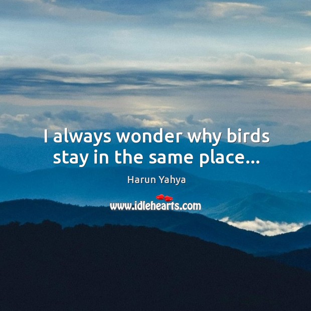 I always wonder why birds stay in the same place… Harun Yahya Picture Quote