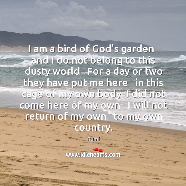 I am a bird of God’s garden   and I do not belong Rumi Picture Quote
