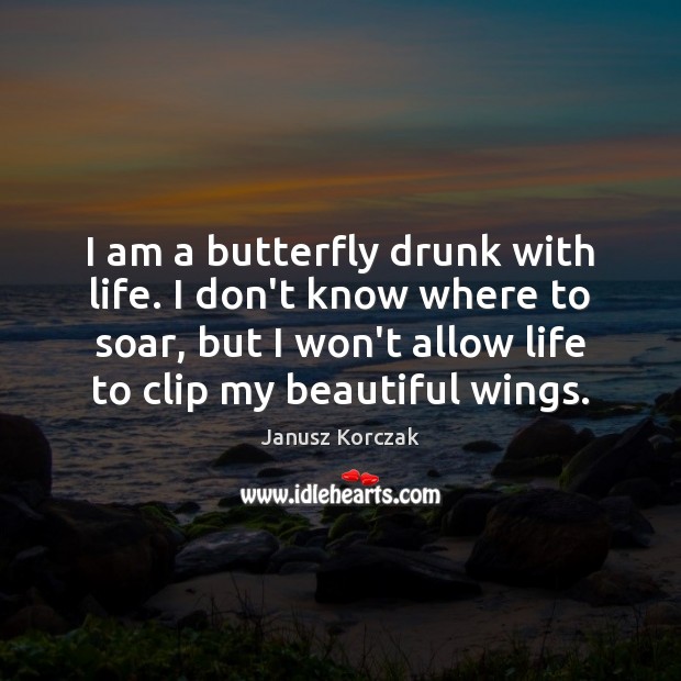 I am a butterfly drunk with life. I don’t know where to Image