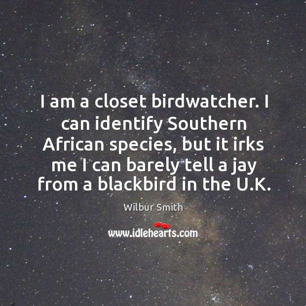 I am a closet birdwatcher. I can identify Southern African species, but Image