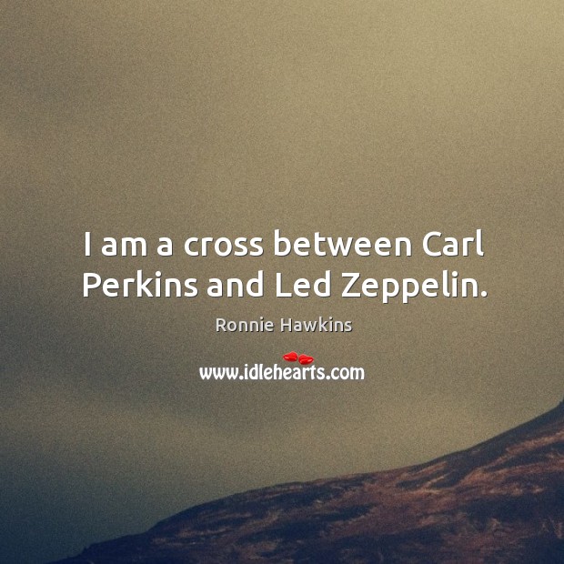 I am a cross between carl perkins and led zeppelin. Image