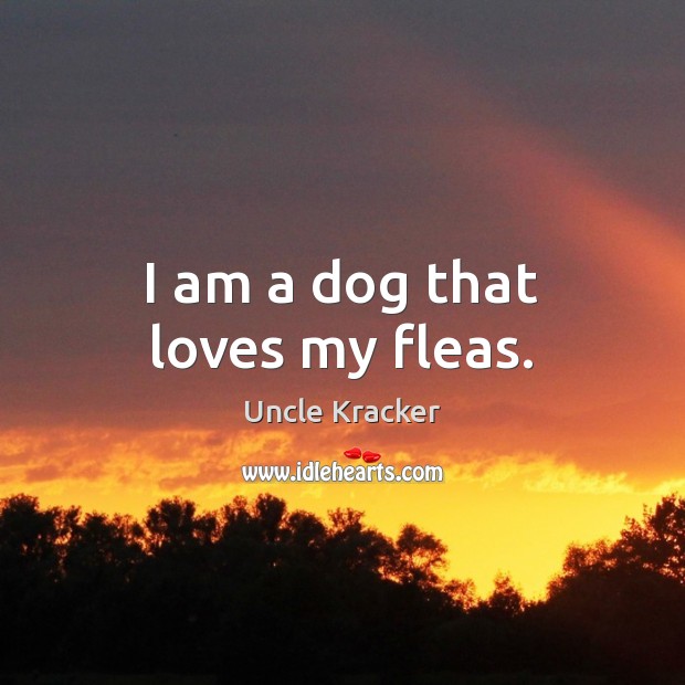 I am a dog that loves my fleas. Uncle Kracker Picture Quote