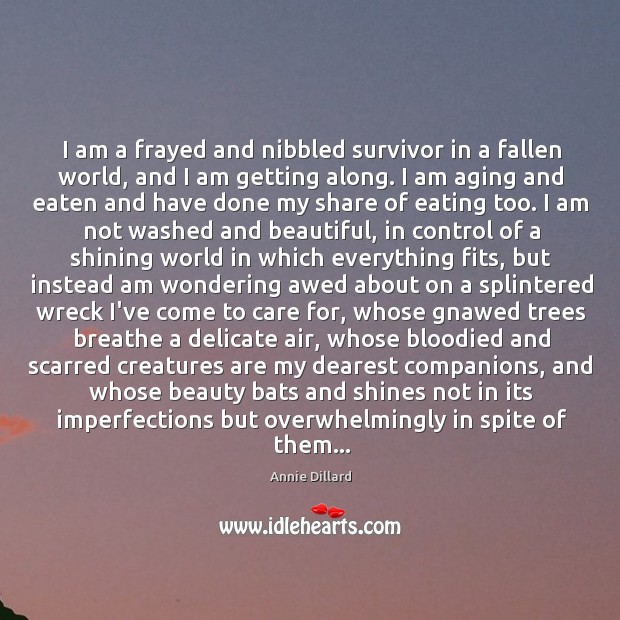 I am a frayed and nibbled survivor in a fallen world, and Annie Dillard Picture Quote