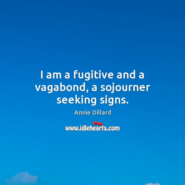 I am a fugitive and a vagabond, a sojourner seeking signs. Annie Dillard Picture Quote