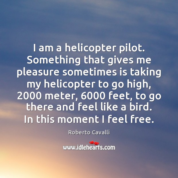 I am a helicopter pilot. Something that gives me pleasure sometimes is Roberto Cavalli Picture Quote
