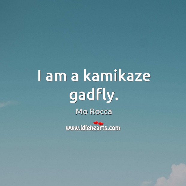 I am a kamikaze gadfly. Mo Rocca Picture Quote