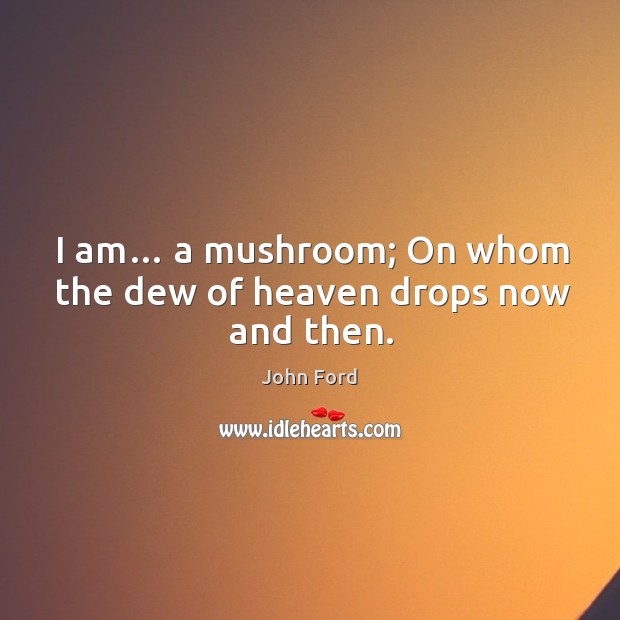 I am… a mushroom; on whom the dew of heaven drops now and then. John Ford Picture Quote