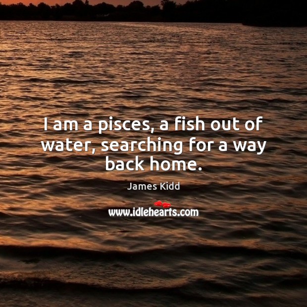 I am a pisces, a fish out of water, searching for a way back home. Image