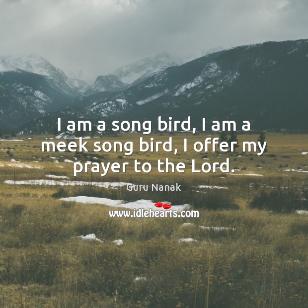 I am a song bird, I am a meek song bird, I offer my prayer to the Lord. Guru Nanak Picture Quote