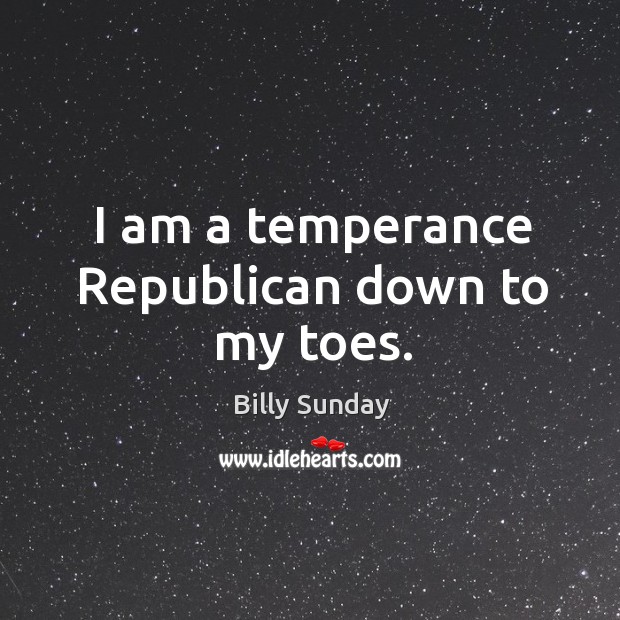 I am a temperance republican down to my toes. Billy Sunday Picture Quote