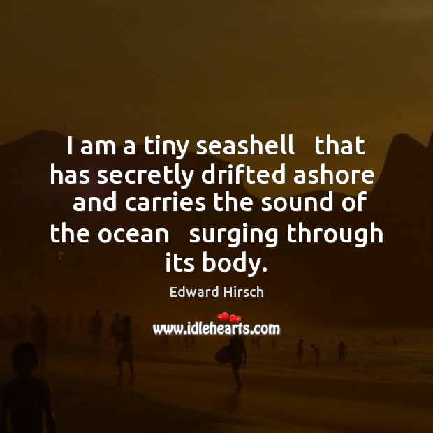 I am a tiny seashell   that has secretly drifted ashore   and carries Image