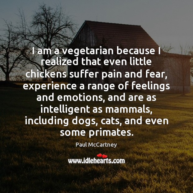 I am a vegetarian because I realized that even little chickens suffer Paul McCartney Picture Quote