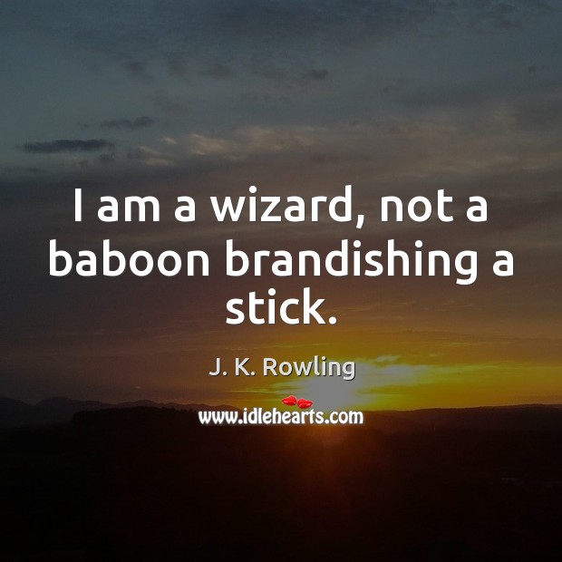 I am a wizard, not a baboon brandishing a stick. Image