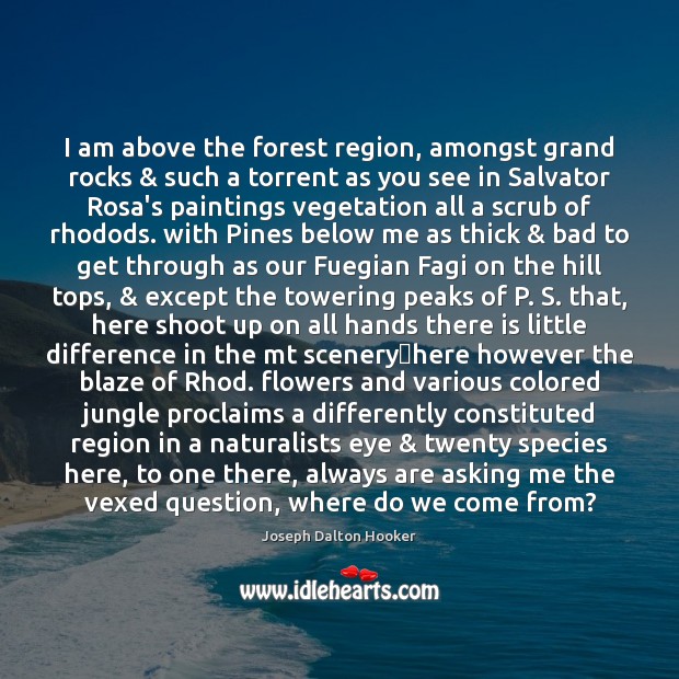 I am above the forest region, amongst grand rocks & such a torrent Joseph Dalton Hooker Picture Quote