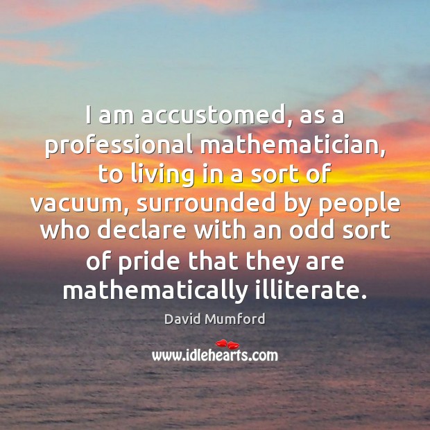 I am accustomed, as a professional mathematician, to living in a sort David Mumford Picture Quote