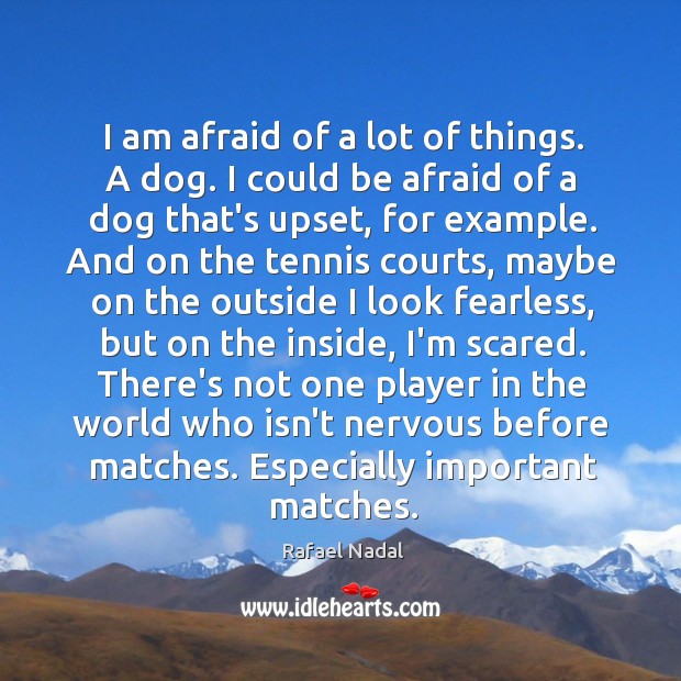I am afraid of a lot of things. A dog. I could Image