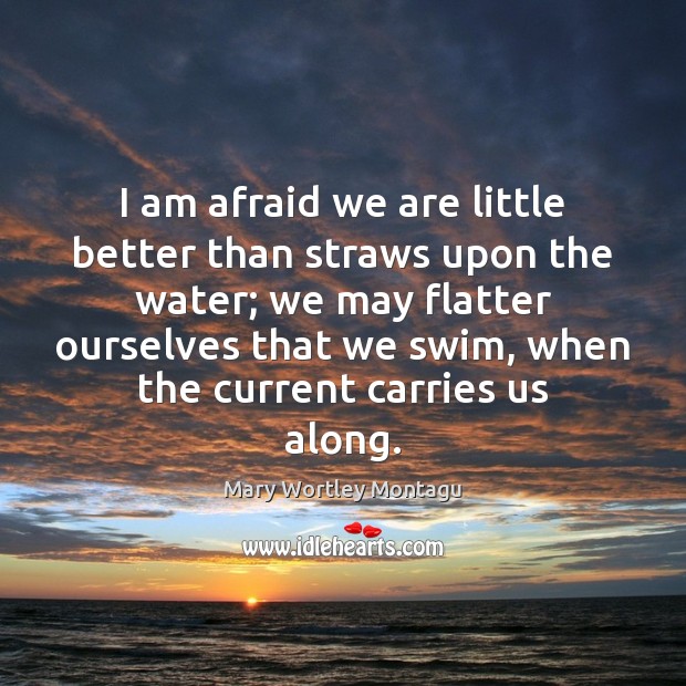 I am afraid we are little better than straws upon the water; Image