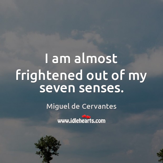 I am almost frightened out of my seven senses. Miguel de Cervantes Picture Quote
