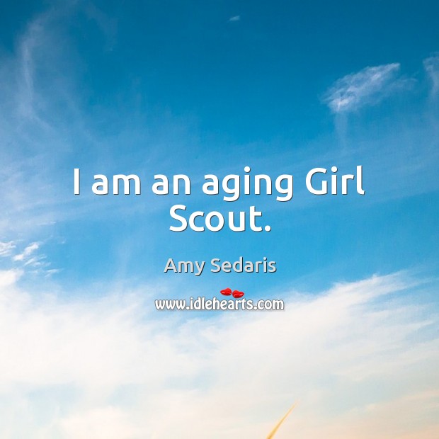 I am an aging Girl Scout. Amy Sedaris Picture Quote