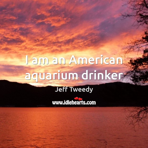 I am an American aquarium drinker Jeff Tweedy Picture Quote