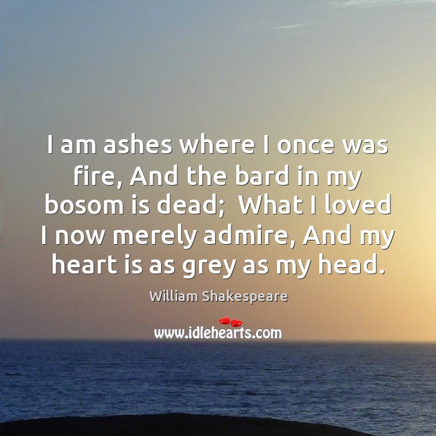 I am ashes where I once was fire, And the bard in Image